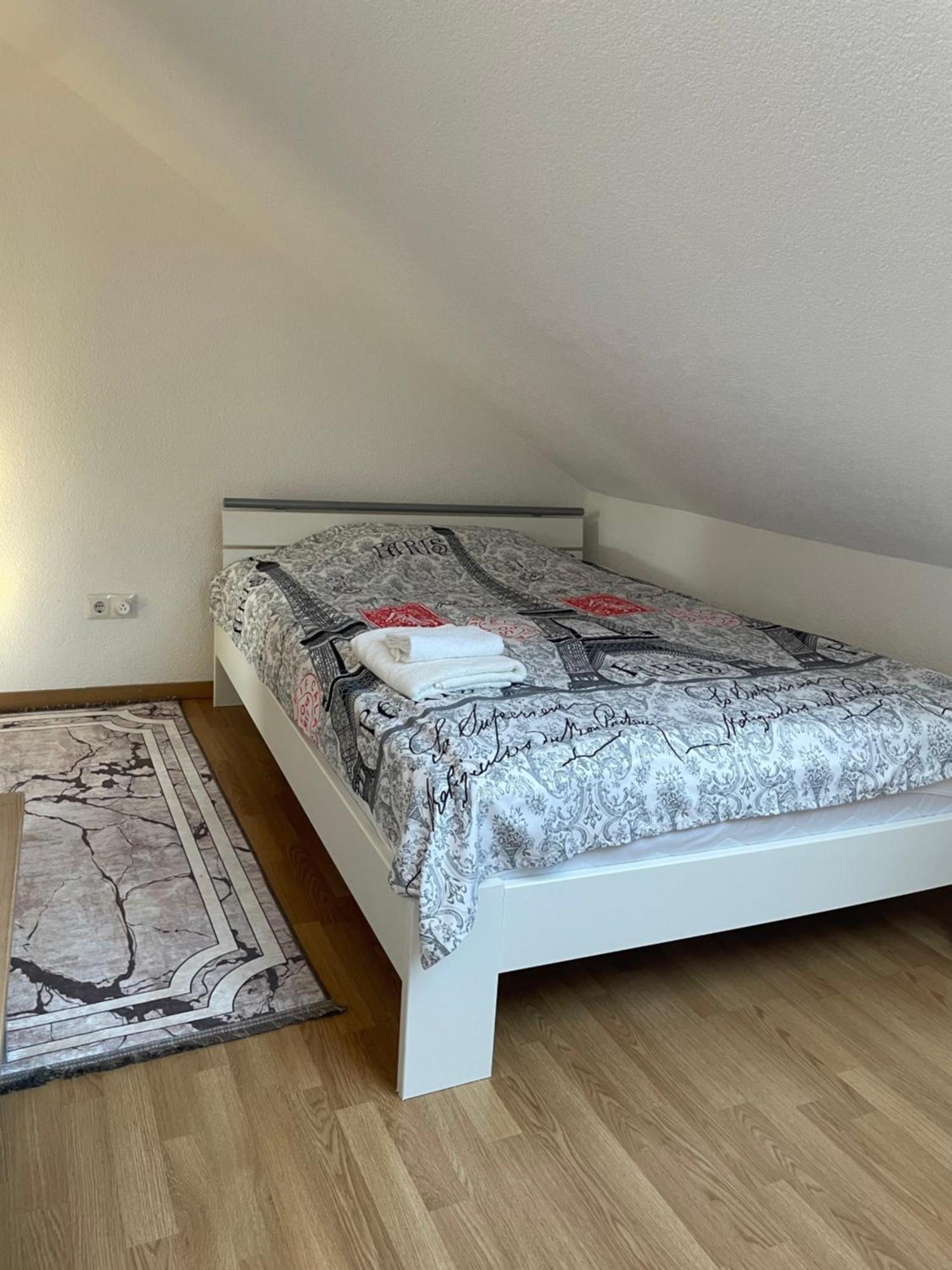 Stilvolle Wohnung Im Stadtzentrum カイザースラウテルン エクステリア 写真